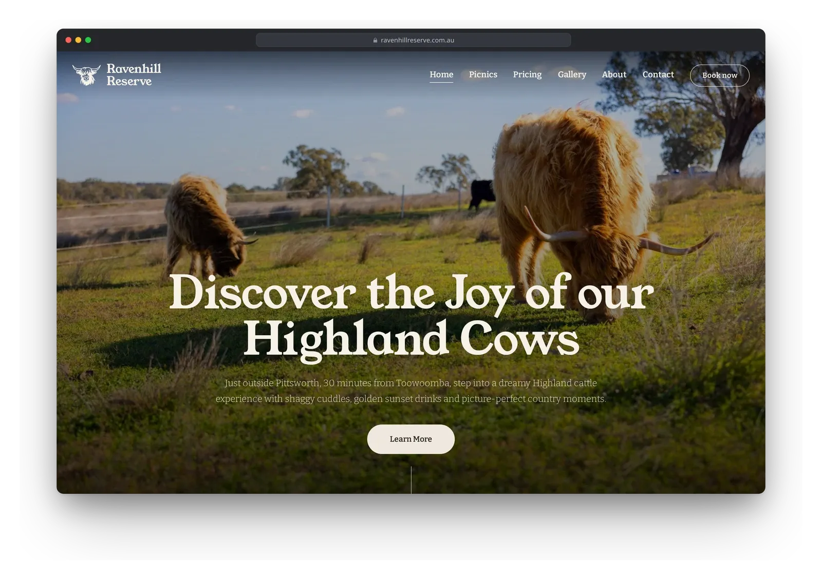 The Ravenhill Reserve home page in a browser window, with a Highland cow in a paddock behind the headline "Discover the Joy of our Highland Cows".
