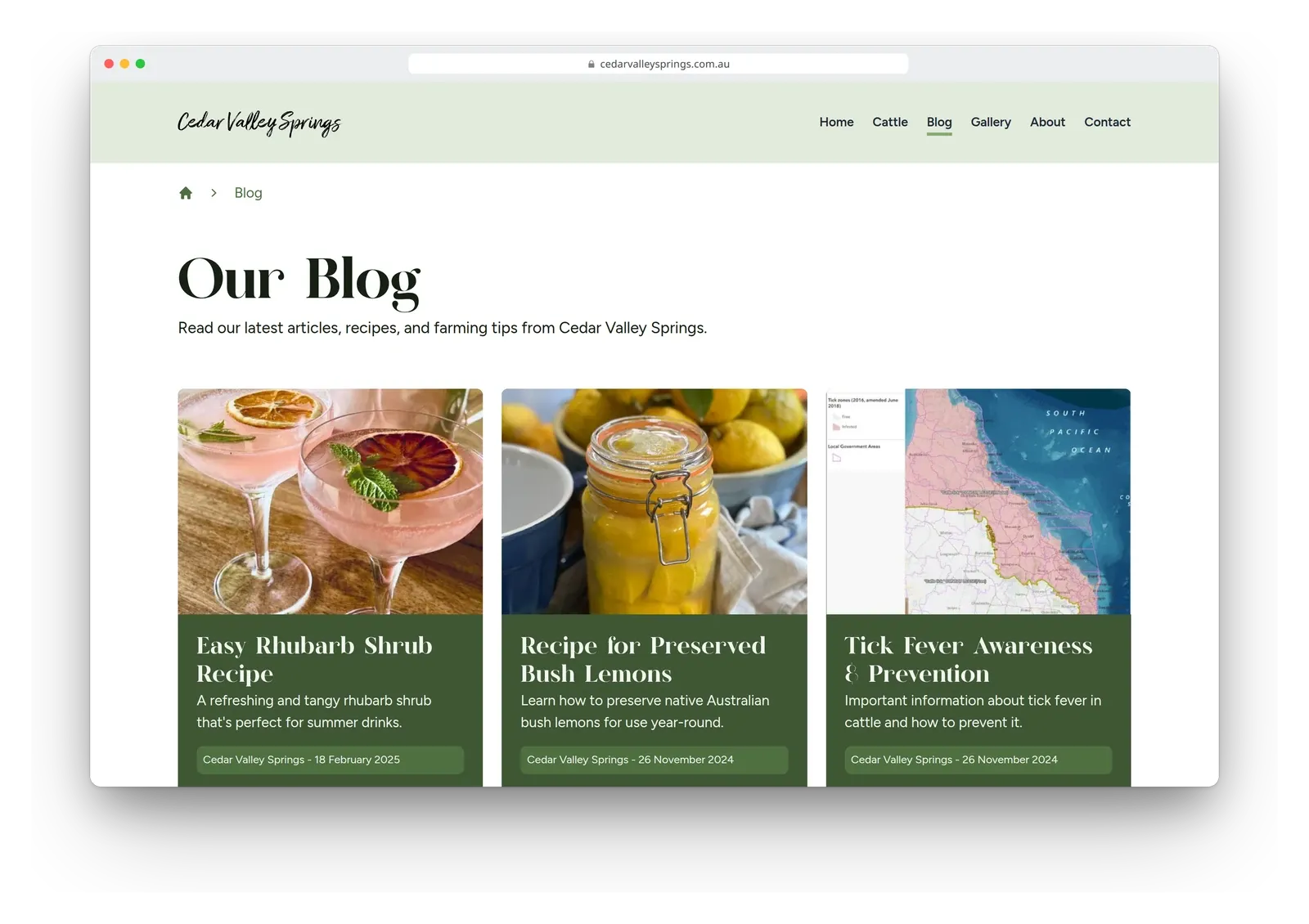 The blog page on the Cedar Valley Springs site in a browser window, with cards for a rhubarb shrub recipe, a preserved bush lemons recipe and a tick fever article.