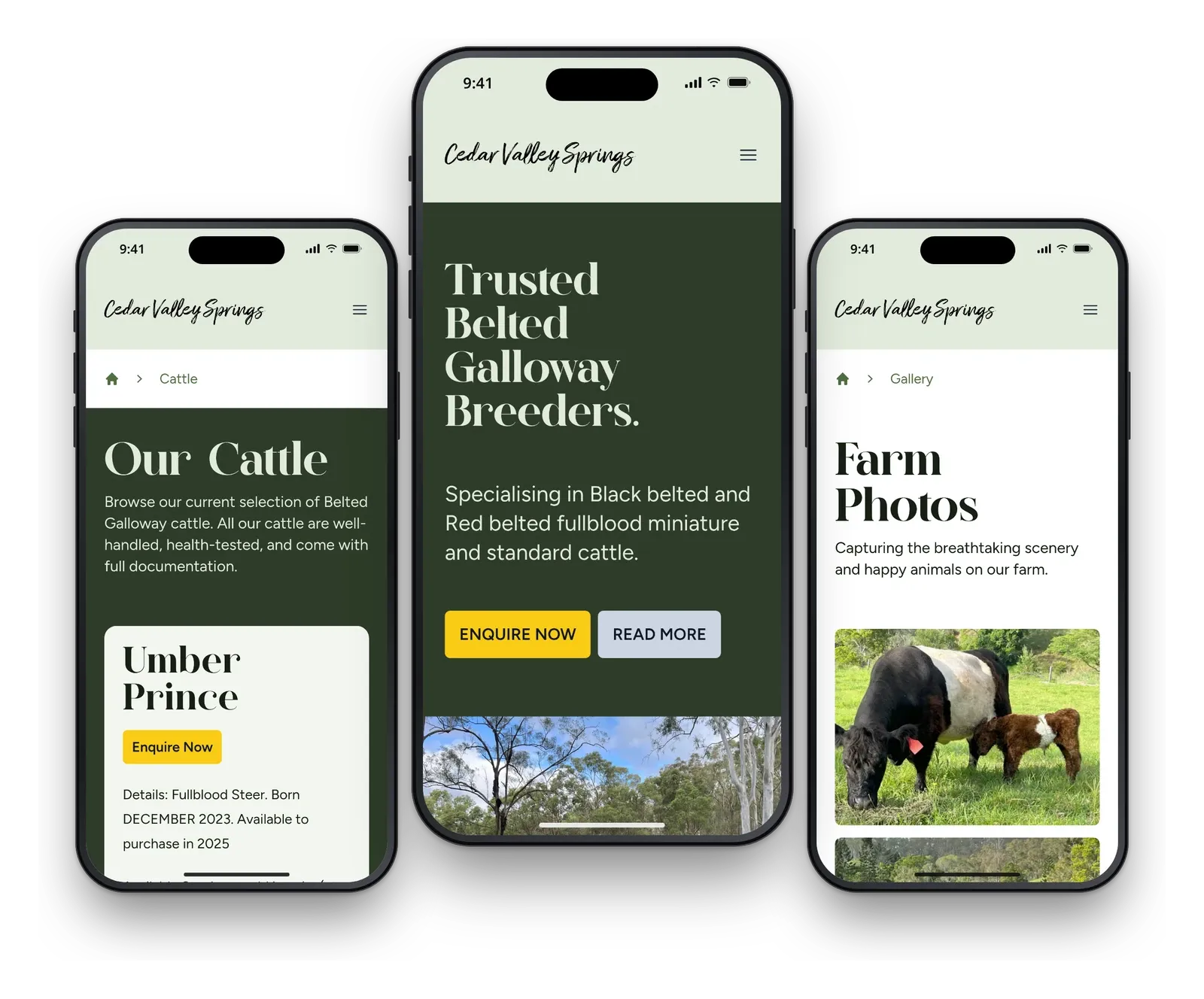 Cedar Valley Springs on three phones, showing the cattle page, the home page and the farm photo gallery.
